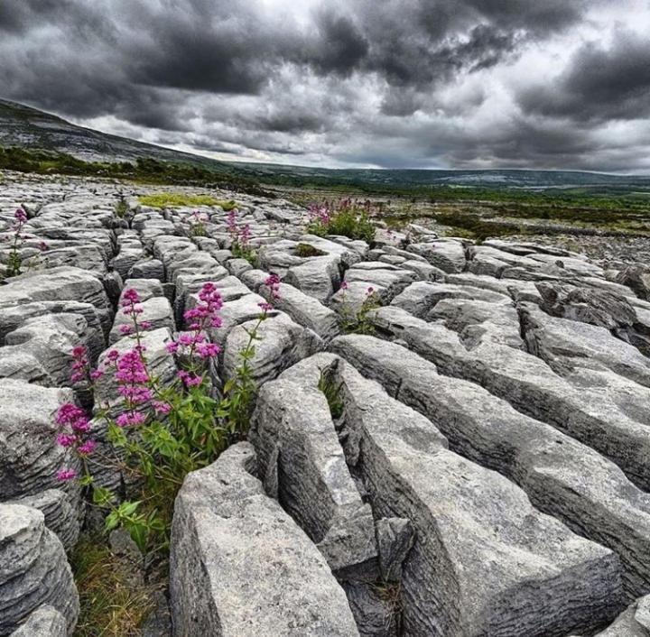 Lanelodge Doolin Exterior foto